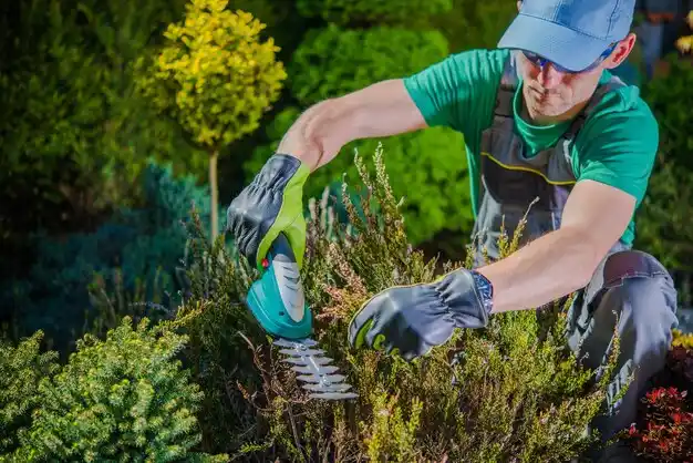 landscaping services Urania